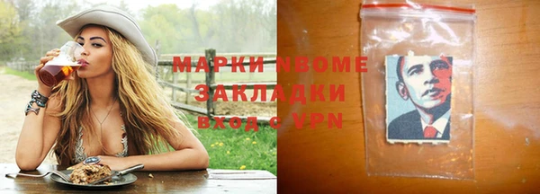 прущие грибы Дмитровск