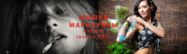 прущие грибы Дмитровск