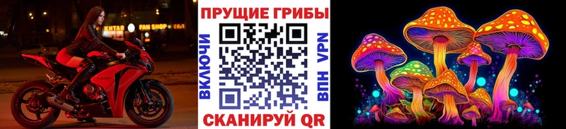 Купить  Верхний Уфалей  Псилоцибиновые грибы мухоморы 